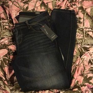 NWT Torrid sz 16r luxe skinny jeans/dk wash 😬